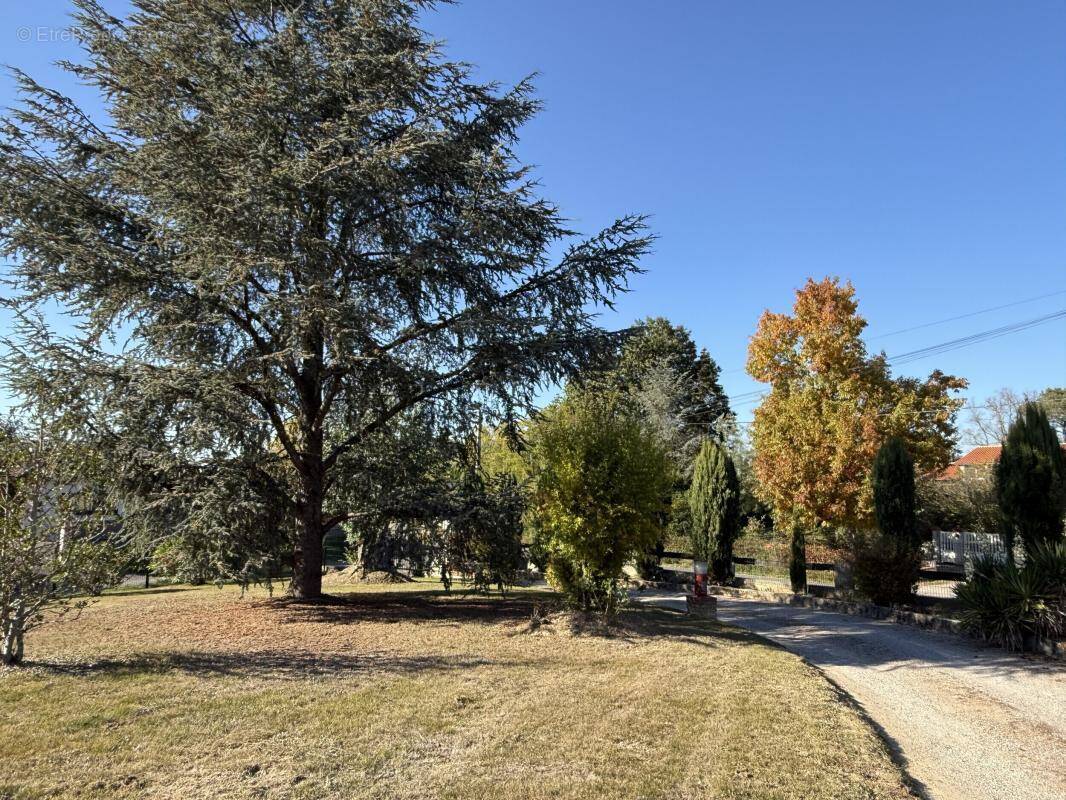 Terrain à MONTAUBAN