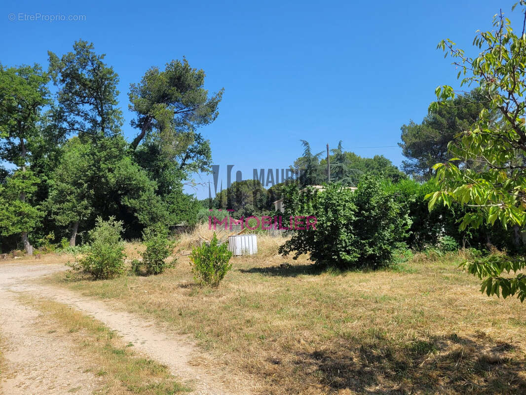 Terrain à CARPENTRAS