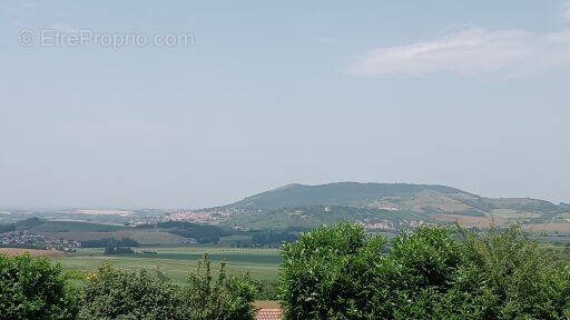 Terrain à SAINT-GEORGES-SUR-ALLIER