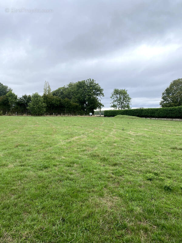 Terrain à BOISSY-LES-PERCHE