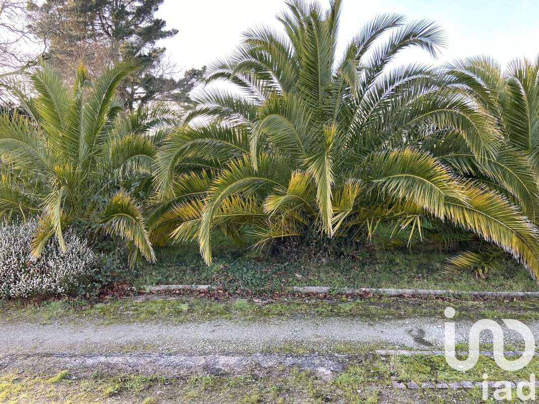 Photo 7 - Maison à SARZEAU