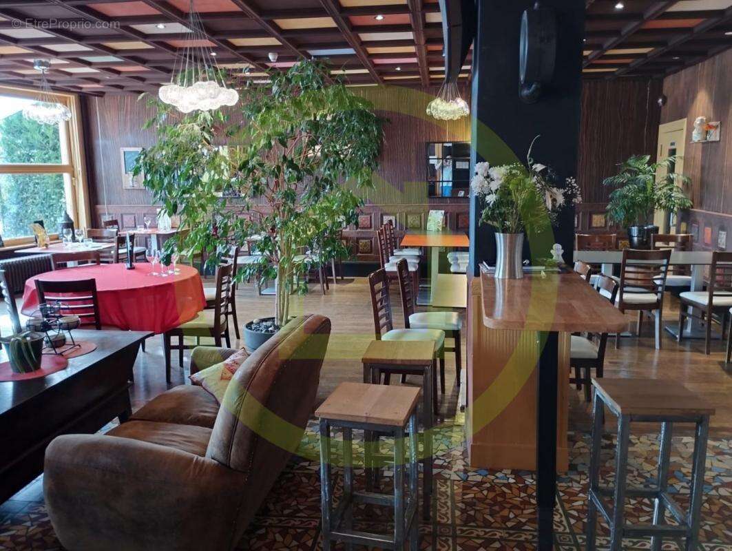 Commerce à SAINT-JULIEN-DE-JONZY