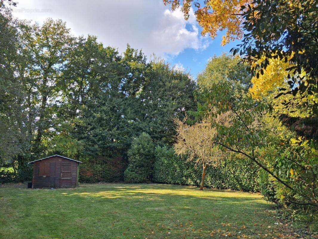 Terrain à NOUVOITOU