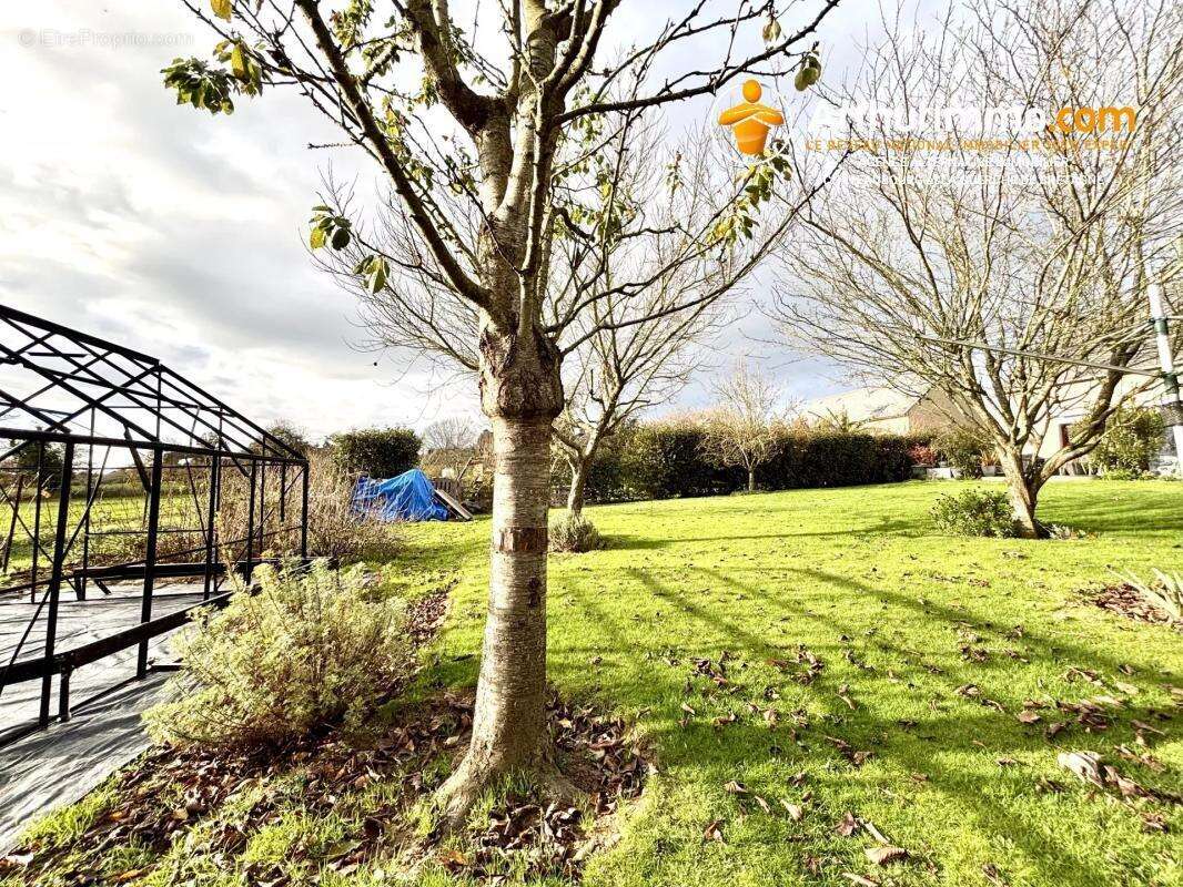 Maison 5 pièces - photo 15