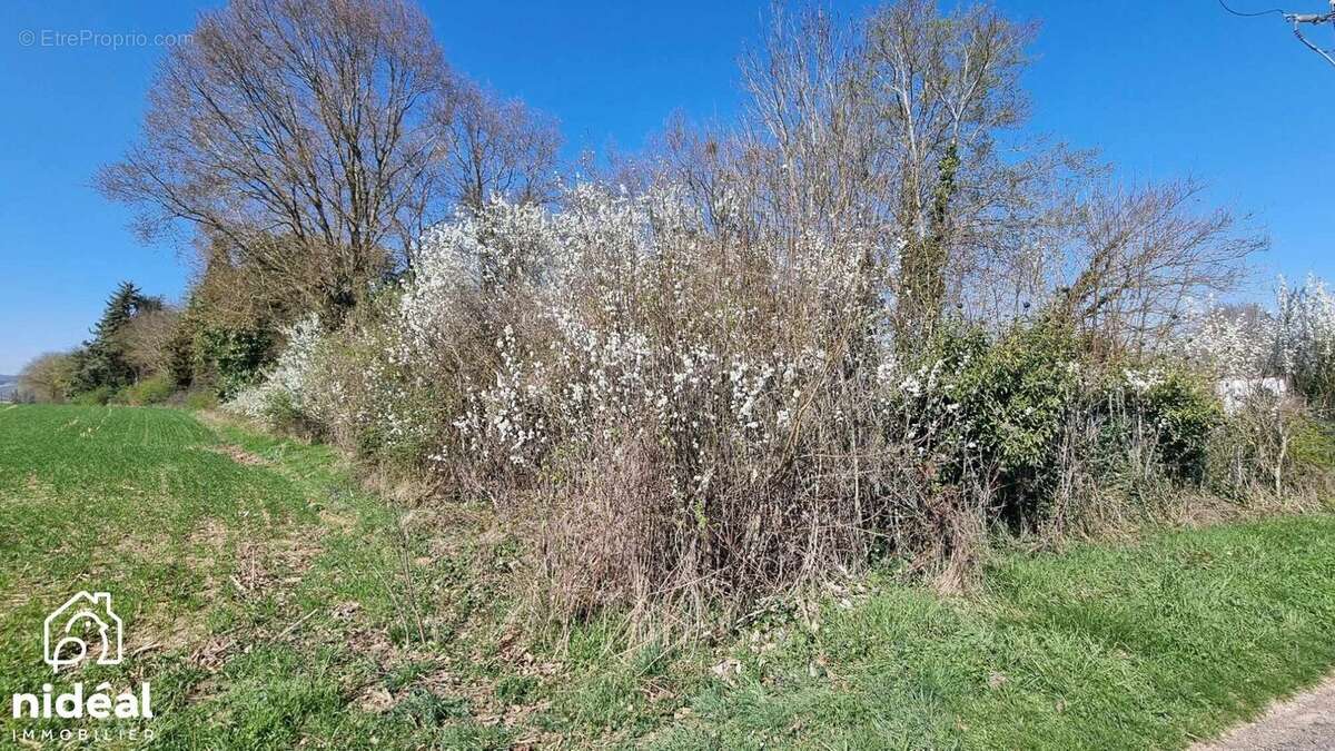 Commerce à SAINT-PIERRE-LA-GARENNE