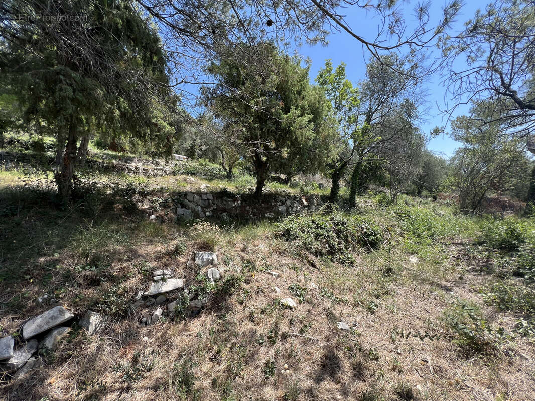 Terrain à TOURRETTE-LEVENS