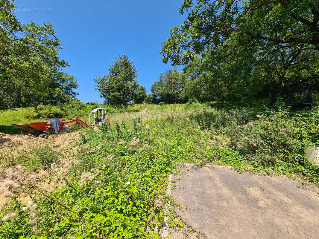 Terrain à LE CHEYLAS
