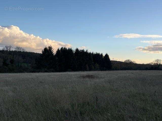 Terrain à SAINT-GERMAIN-D&#039;AUNAY