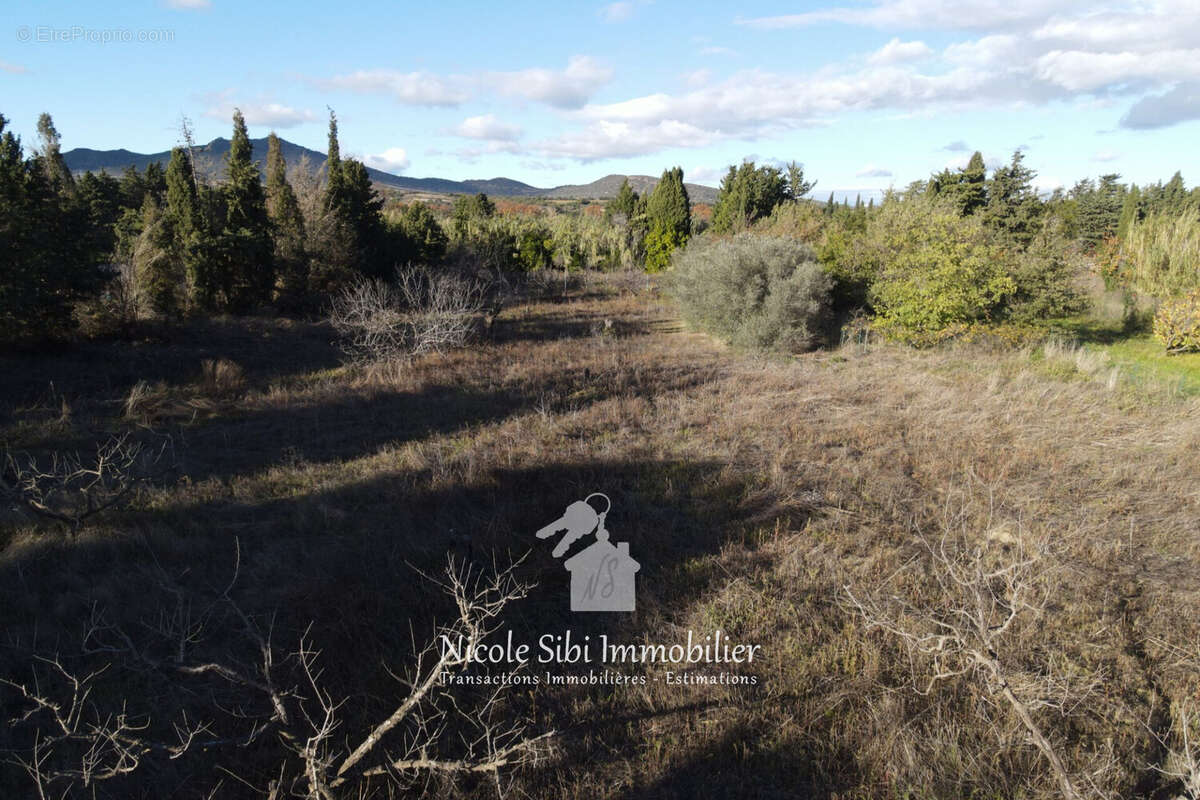 Terrain à CORNEILLA-LA-RIVIERE