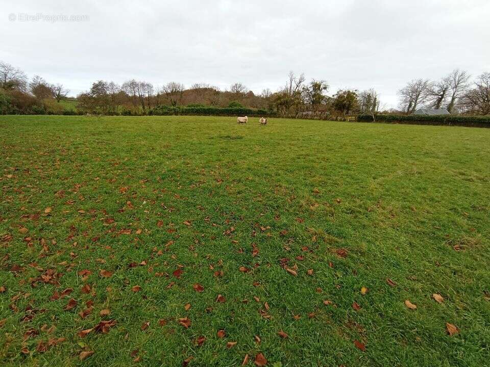 Terrain à LE MAYET-DE-MONTAGNE