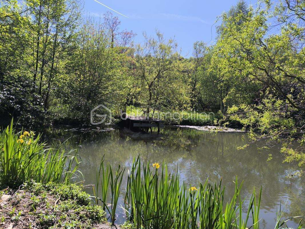 Coin idyllique : maison avec un étang - photo 9