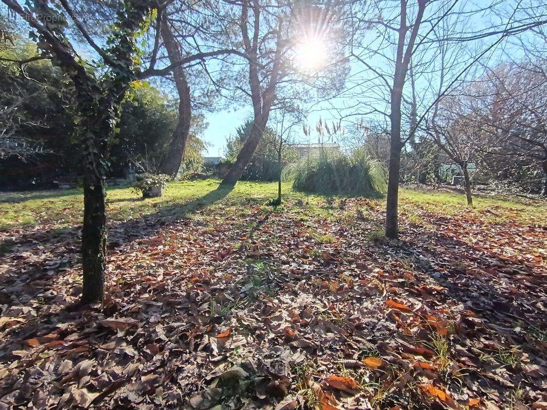 Maison à AMBARES-ET-LAGRAVE