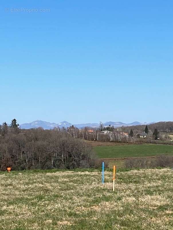 Terrain à ROANNES-SAINT-MARY