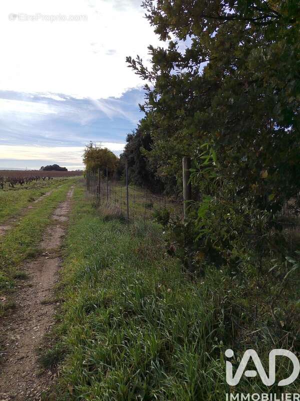 Photo 7 - Terrain à CAIRANNE