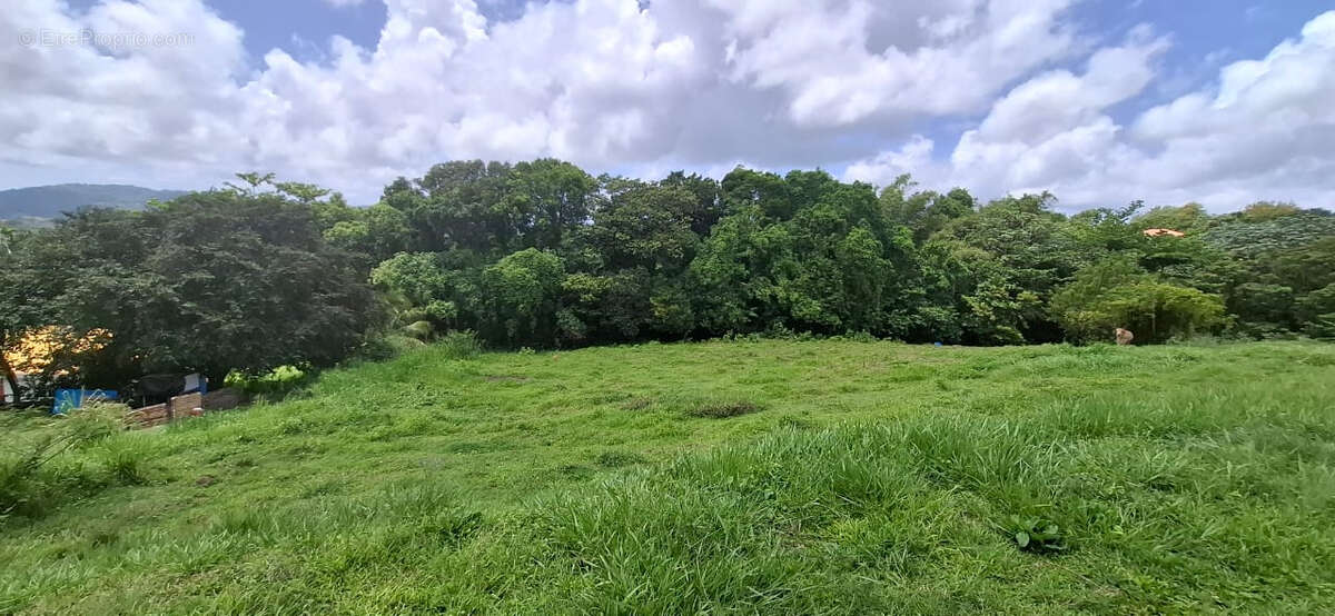 Maison à SAINT-ESPRIT