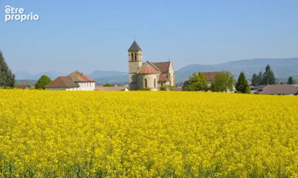 Terrain à SAINT-JEAN-D'AVELANNE