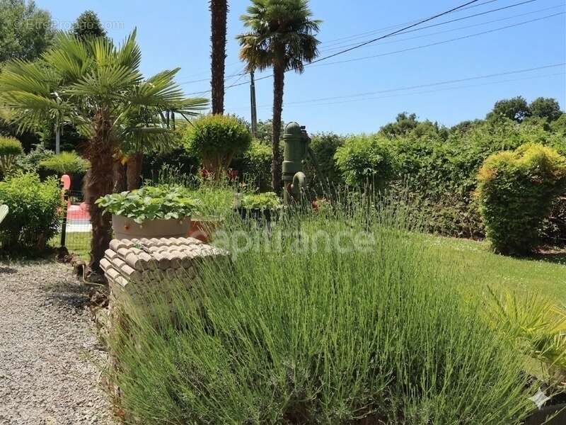 Maison à CHEVANCEAUX