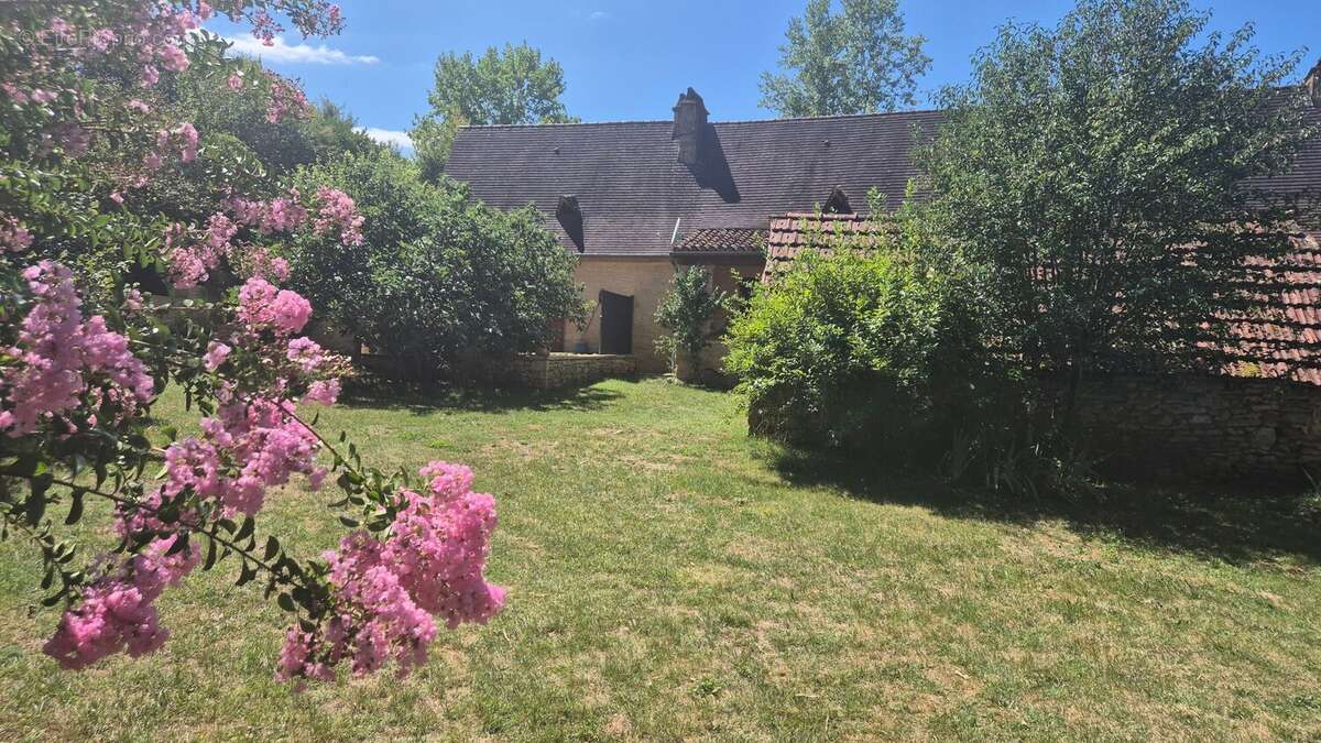 Maison 550 m² à Les Eyzies-De-Tayac-Sireuil  - photo 236