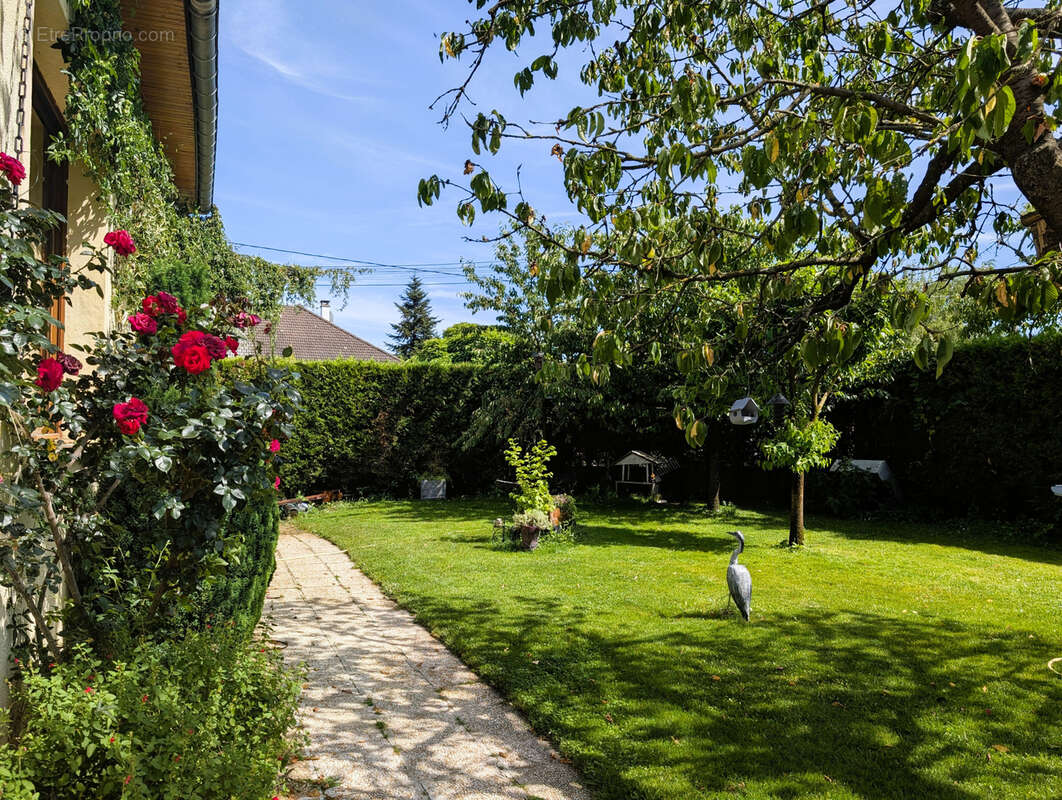 Maison à LA VERPILLIERE