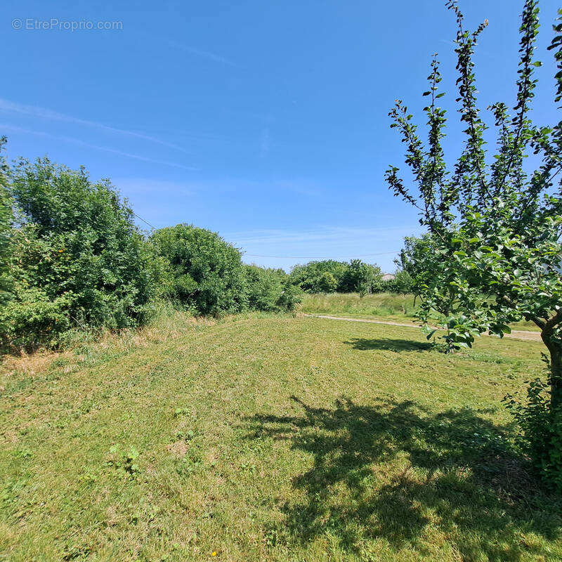 Terrain à SAINT-SATURNIN-DU-BOIS