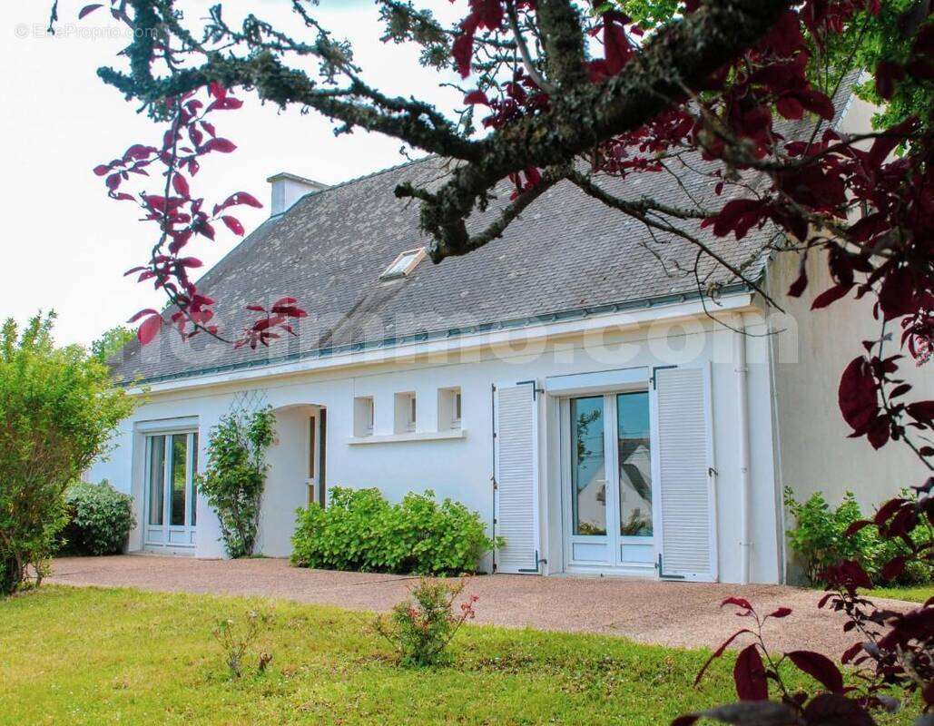 façade - Maison à ARZON