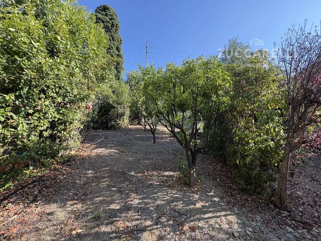 Villa/piscine Sanremo Italie - photo 17