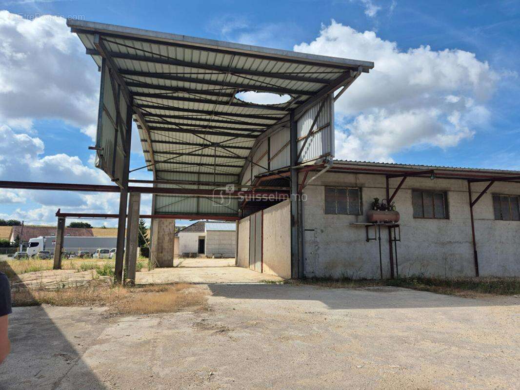 Bâtiment Industriel avec bureaux  et hangars de 2200 m2 + Maison de 250 m2 sur 12000 m2 de Terrain - photo 5