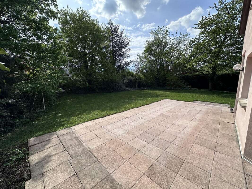 Terrasse Sud/Ouest - Maison à HOENHEIM