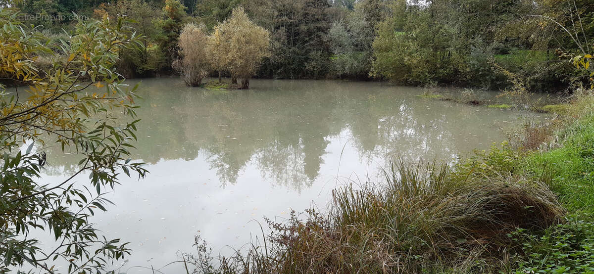 Terrain à LUNEVILLE