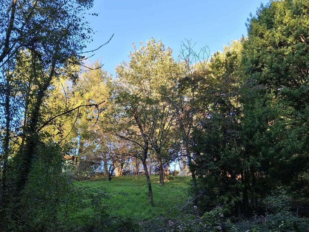 Photo 9 - Maison à BURLATS