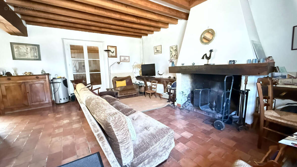 Beaulieu-sur-Loire  Ensemble immobilier de caractère, un bien rare ! - photo 4