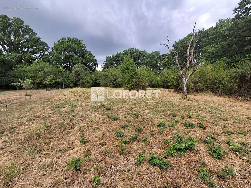 Terrain Manom 4203m2 - photo 8