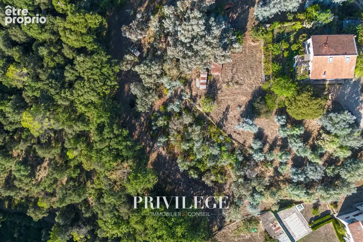 Biot   terrain à bâtir   environ 3 500 m2 de foncier   exclusivité - photo 3