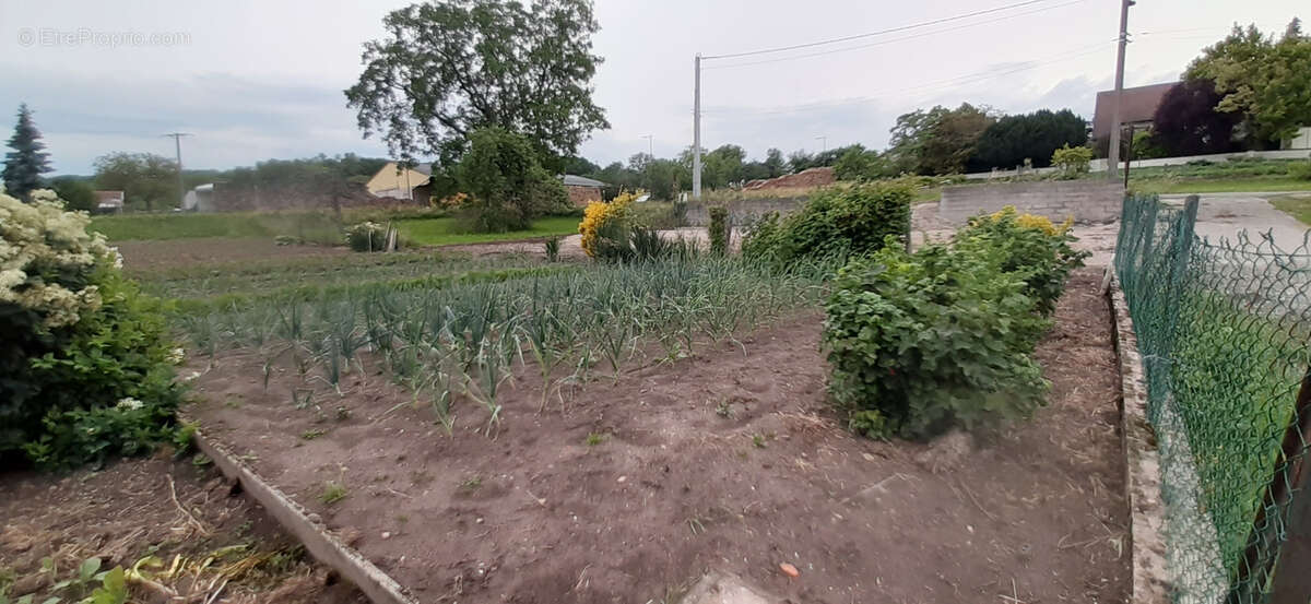 Terrain à ANTHELUPT