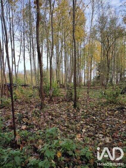 Terrain 4900 m² à Boult-Sur-Suippe  - photo 3