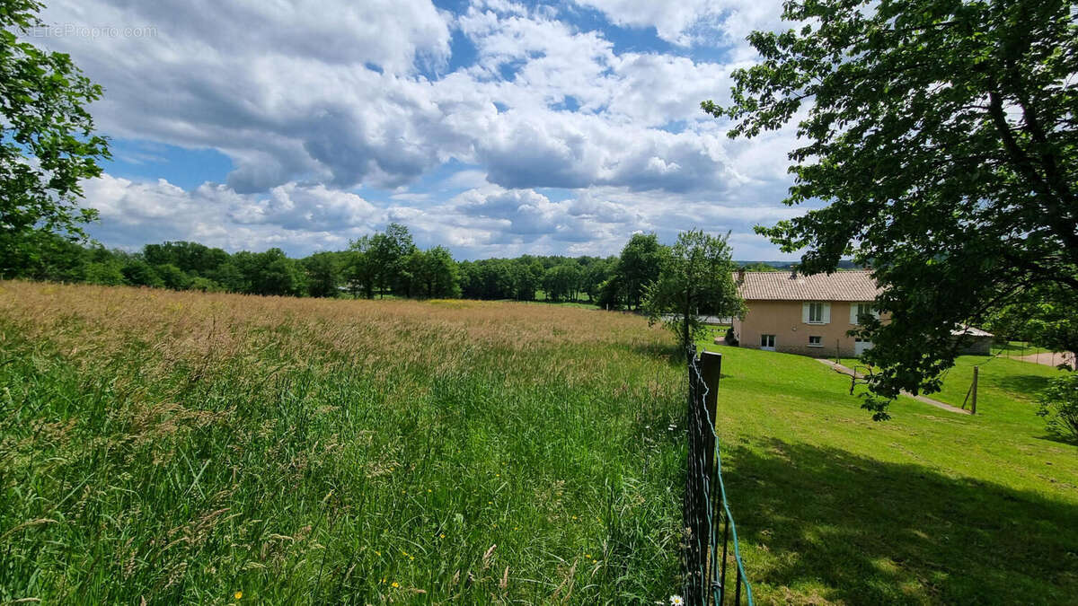 20250506_144413 - Maison à SAINT-PARDOUX-LA-RIVIERE