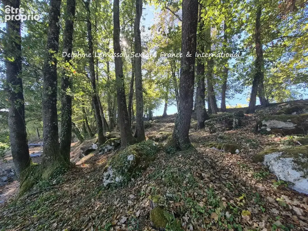 Maison de plain-pied avec Vue panoramique, jardin paysager et Atelier independant - photo 23