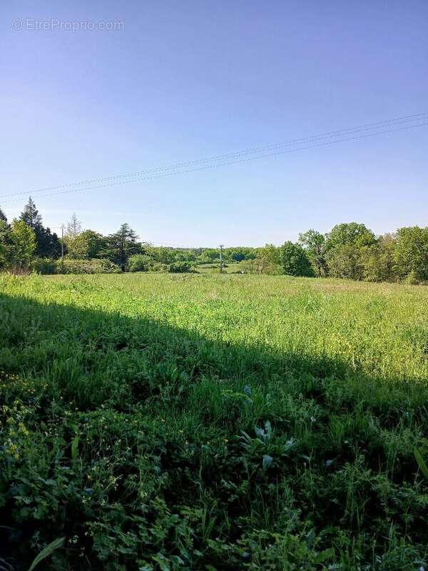 Terrain à SAINT-MARTIN-DE-RIBERAC