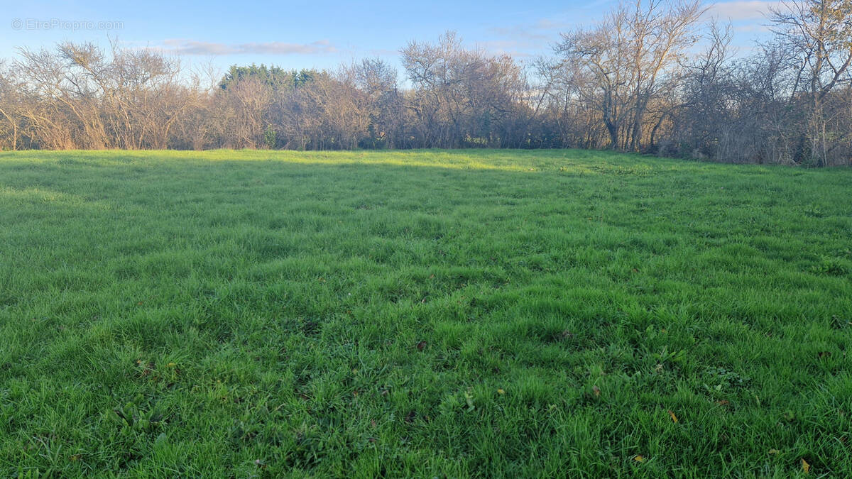 Terrain à LA PLAINE-SUR-MER