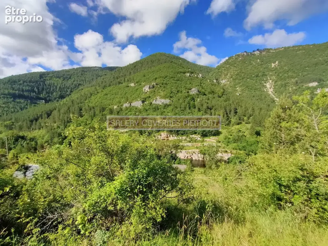Terrain à SAINTE-ENIMIE