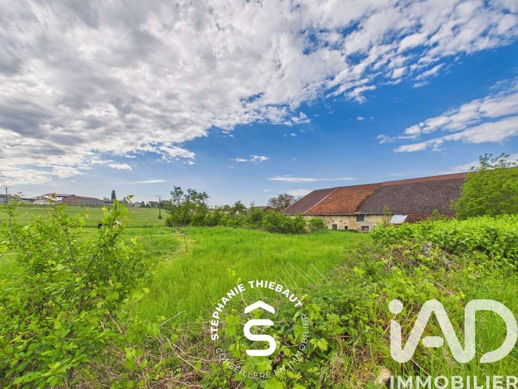 Maison 360 m² à Gorhey  - photo 2