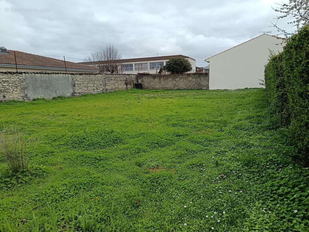 Photo 2 - Terrain à COGNAC