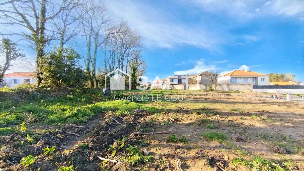 Photo 3 - Terrain à COEX