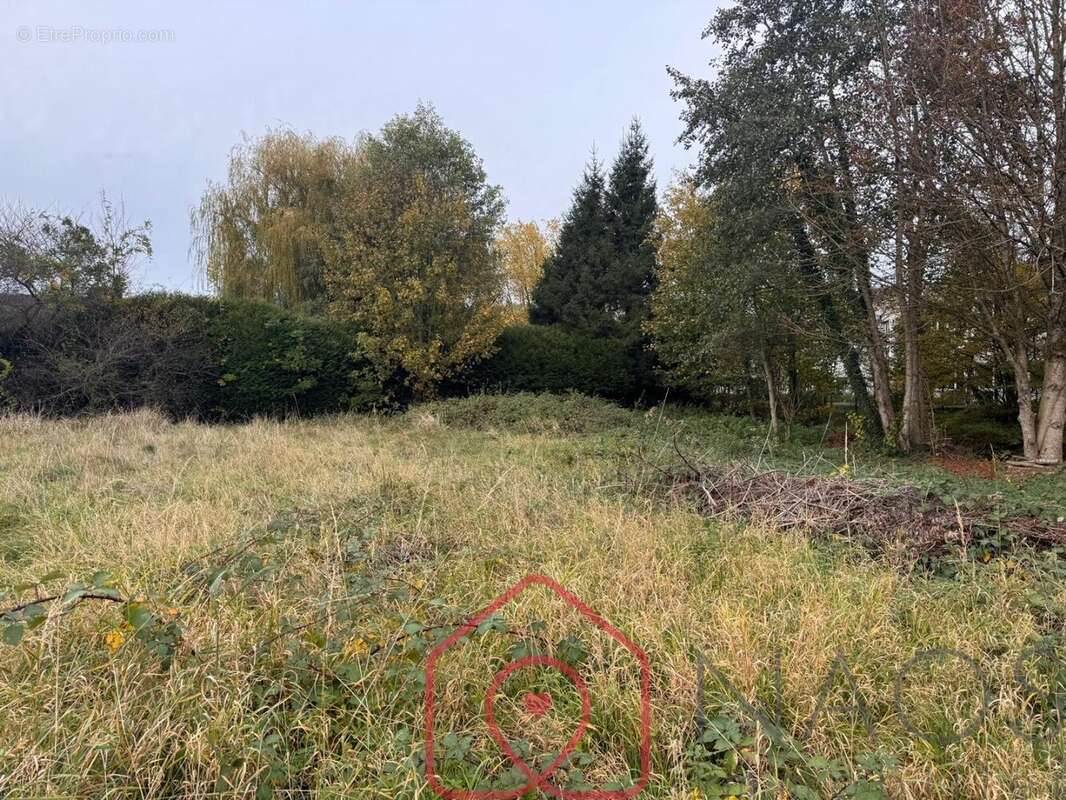 Terrain à BAZEILLES