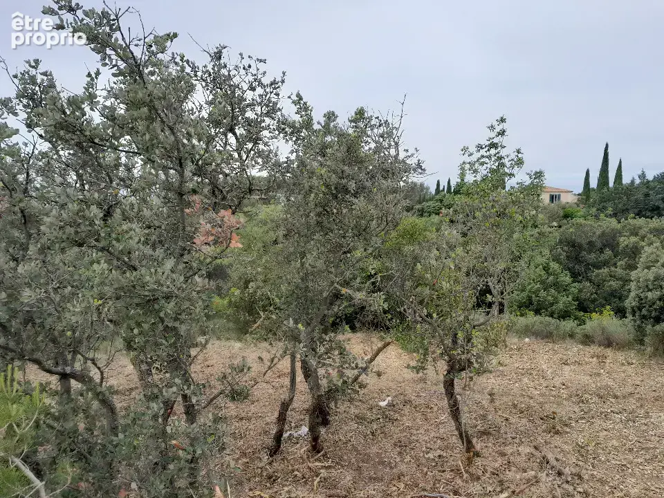 Terrain 465 m² à Villeneuve-Les-Avignon  - photo 3