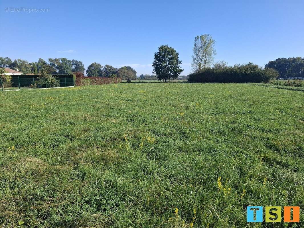 Terrain à MARTRES-DE-RIVIERE