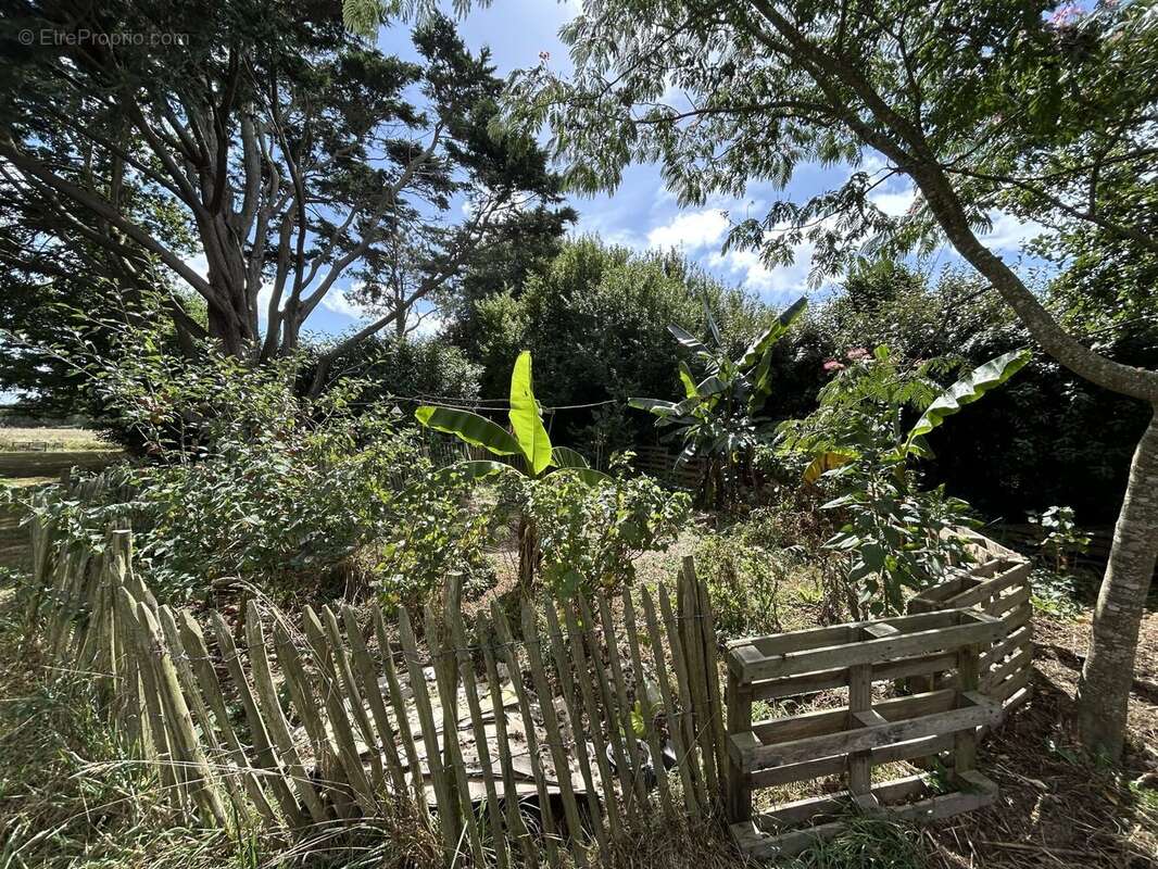 Maison à BEUZEC-CAP-SIZUN