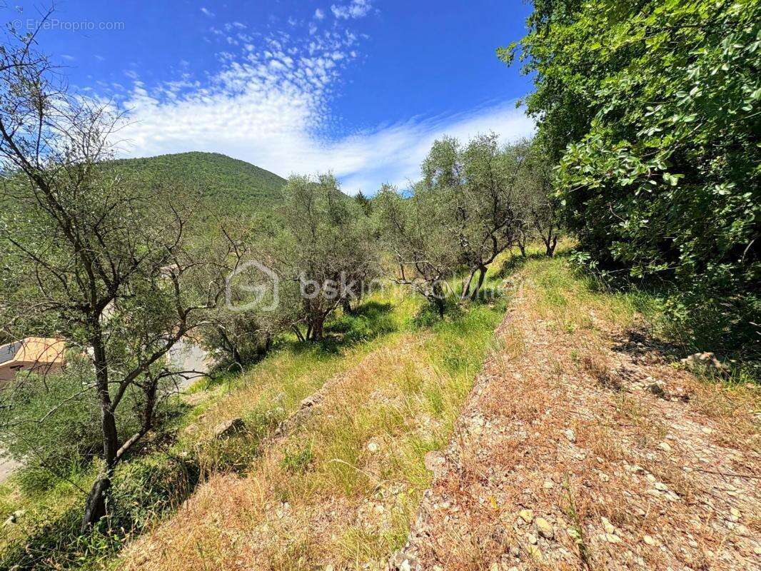  Terrain constructible – Pierrefeu (06910)  - photo 6