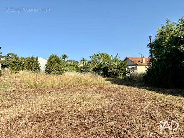 Terrain 452 m² à Six-Fours-Les-Plages  - photo 6