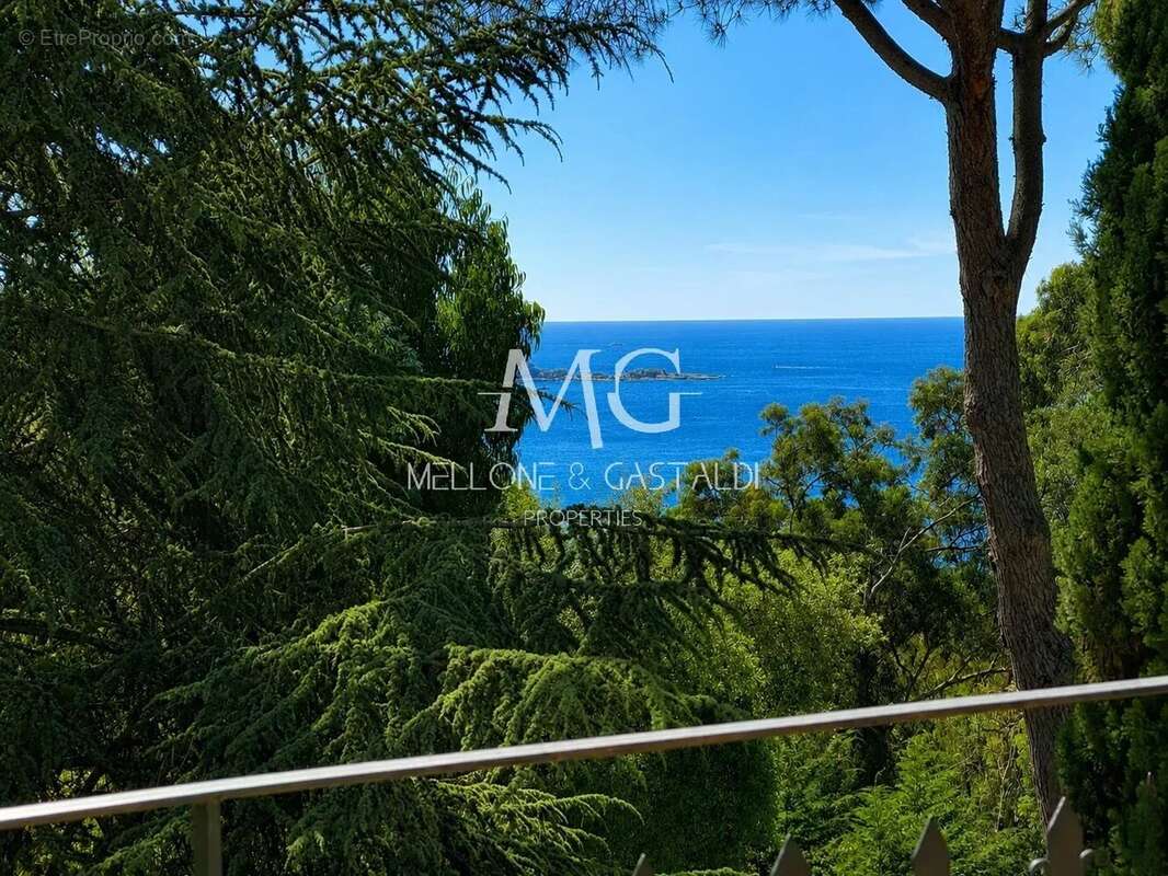 Maison à CANNES